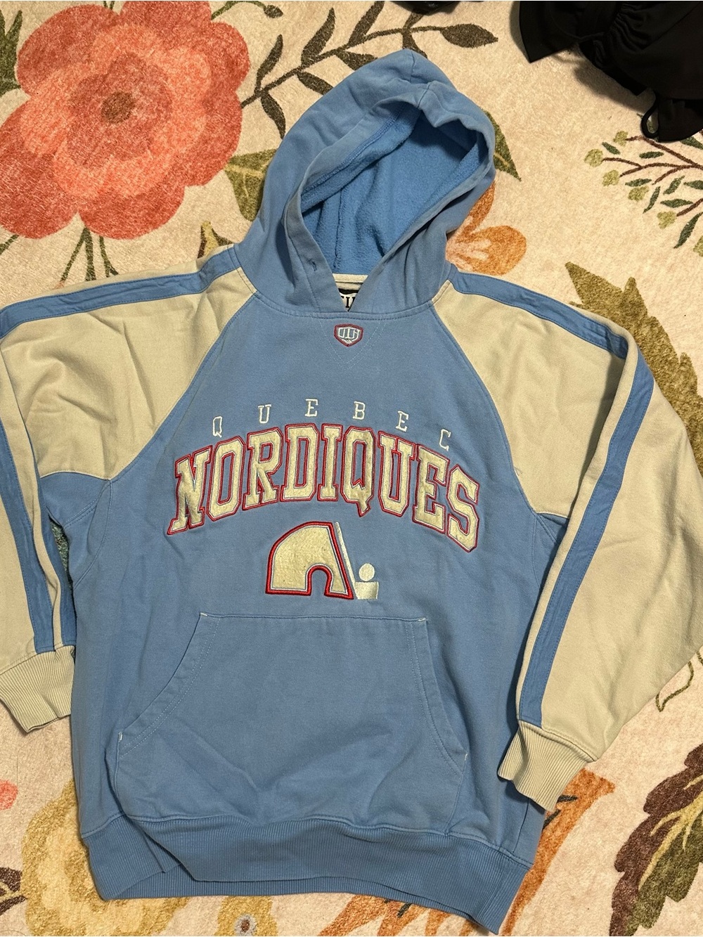 Vintage NHL Old Time Hockey OTH Quebec Nordiques Hoodie in Blue & White 🏒